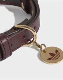 adidas Originals - adidas Pet Collar