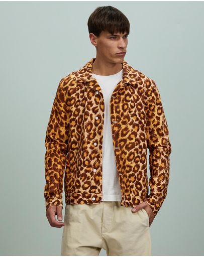 Leopard