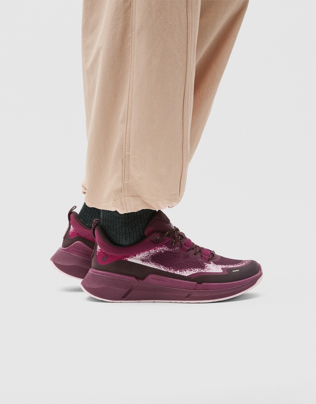 ECCO - ECCO Biom 2.2