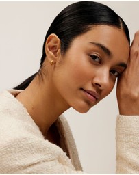 Ted Baker - Crislie Logo Hoop Earrings 12mm