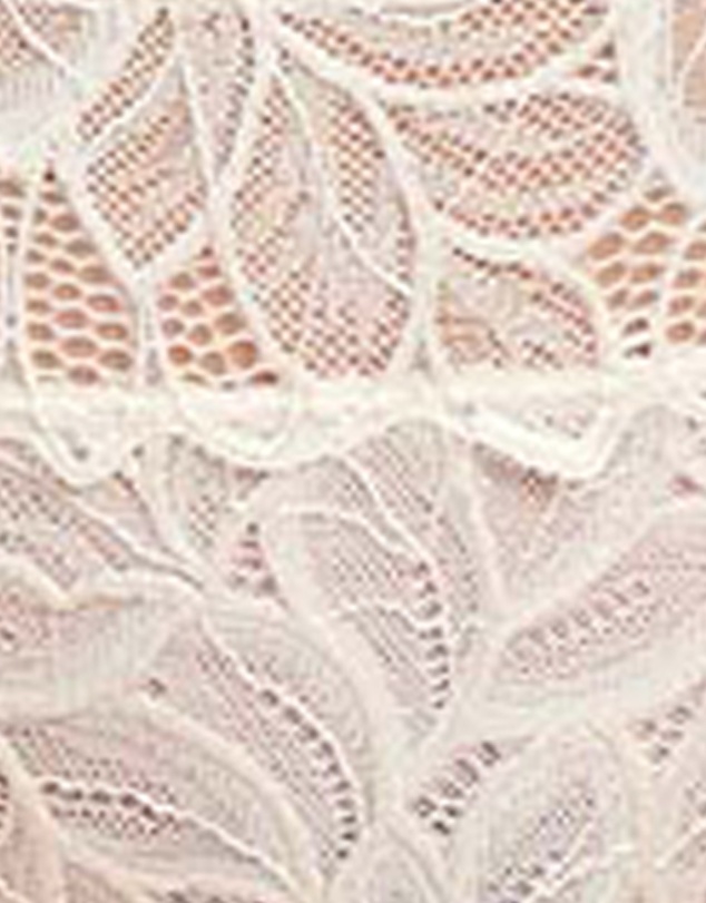 Billet Doux - Divine Sheer Lace Hipster Brief