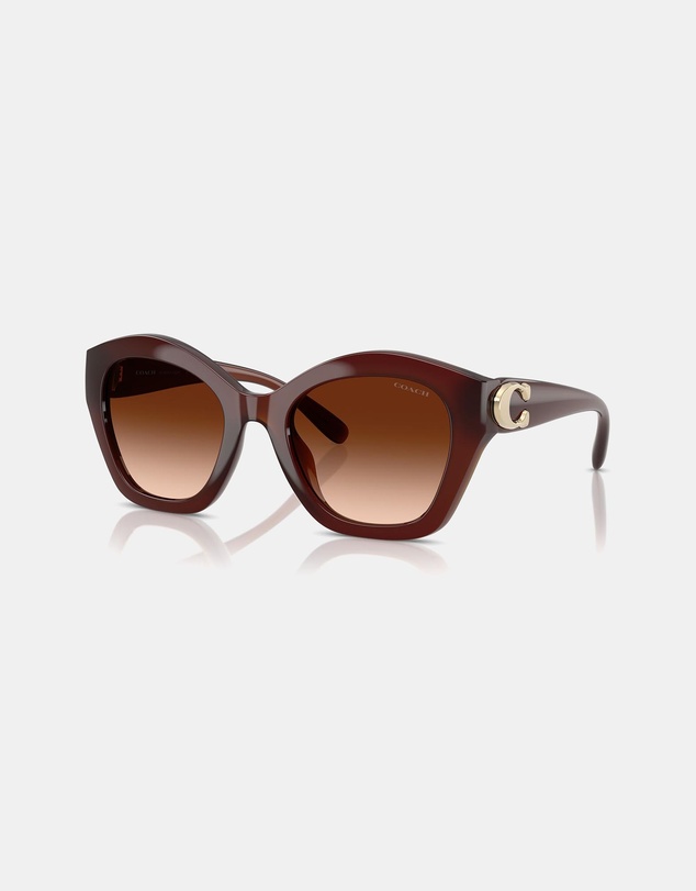 Coach - CAD31