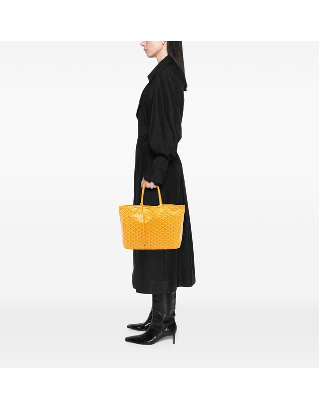 Pre-Loved by Azura Reborn - Pre-Loved Goyardine Saint Louis PM