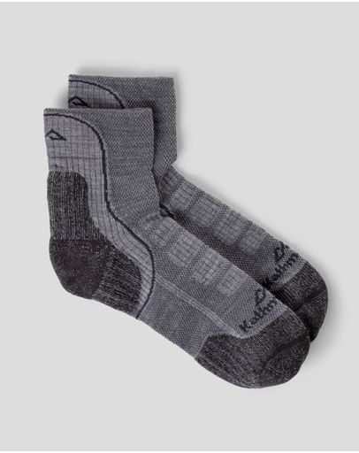 Grey Marle