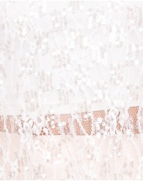 Petal & Pup - Yonder Sheer Lace Tee Top - White