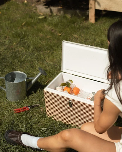 Napoleon Goods - Original Cooler