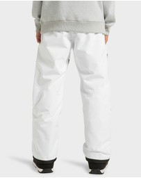DC Shoes - Mens Squadron 30K Snow Pants