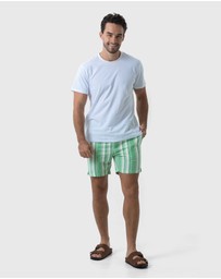Coast Clothing - North Compass Shorts - Green