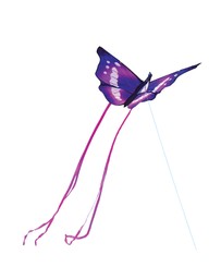 Freeplay Kids - Butterfly Kite