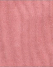 Fox & Finch - Wild Garden Cord Pull on Pants - Babies