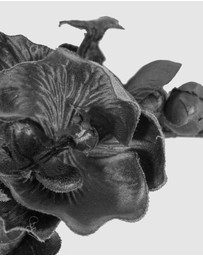 Max Alexander - Black Orchid Flower Fascinator