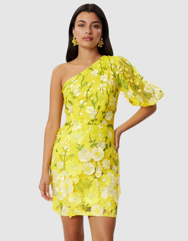 Honey and Beau - Enchanted Garden One Sleeve Dress