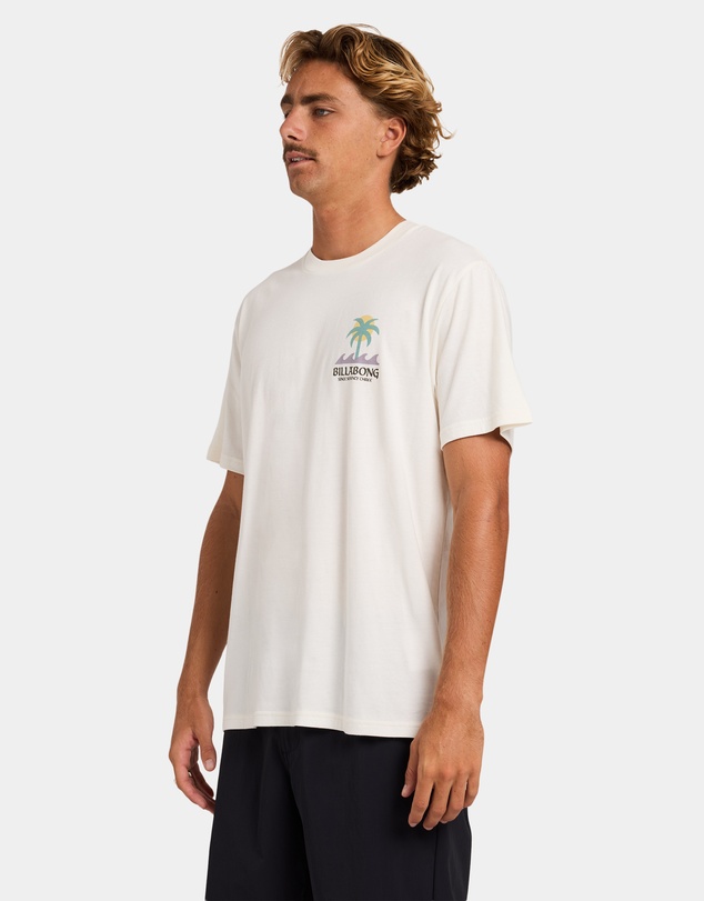 Billabong - Mens Portal Premium T-Shirt