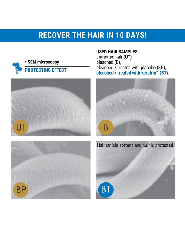 Silk Oil of Morocco - Silk Oil of Morocco - The Repair Protein Argan Collection (Everything You Need)