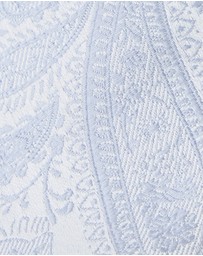 yd. - Premium Silk Paisley 6.5 Cm Tie