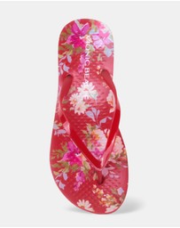 Vionic - Noosa Print Toe Post Sandal - Red Floral
