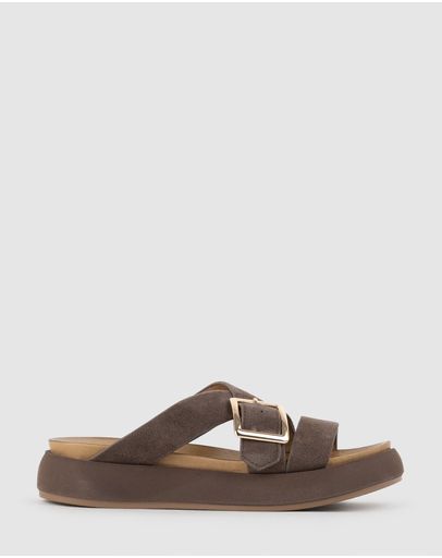 Chocolate Suede