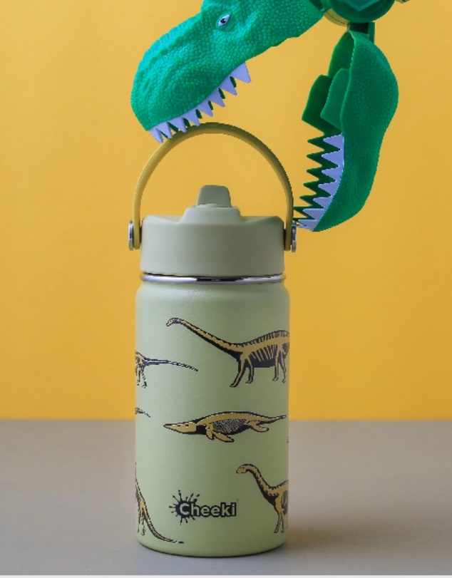 Tolu Australia - 400ml Insulated Kids Bottle With Dinosaurs