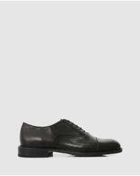 Brando - Lennon Lace Ups