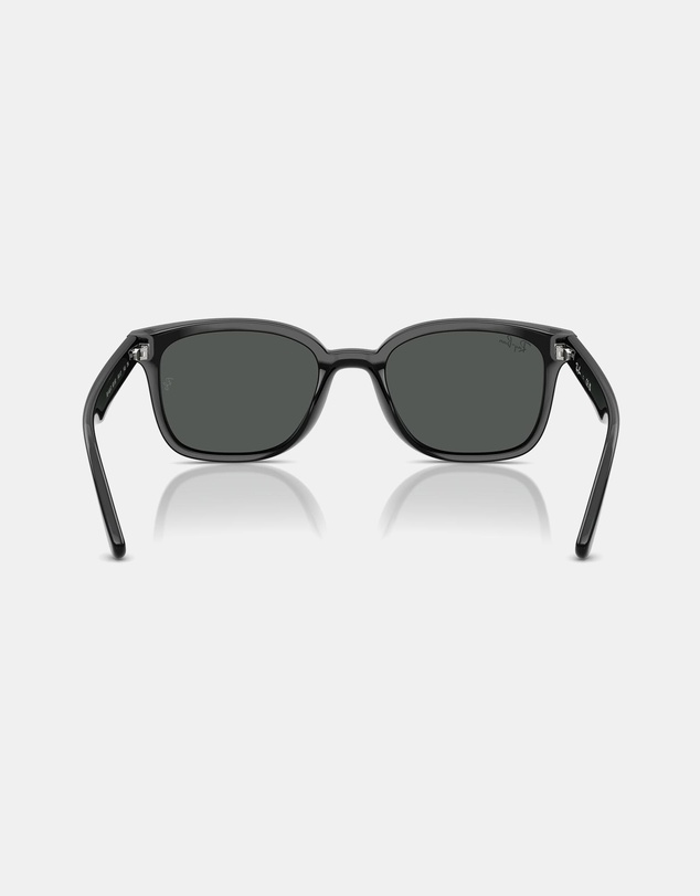 Ray-Ban - RB4461D