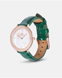 Daniel Wellington - Crystalline Bezel Croc