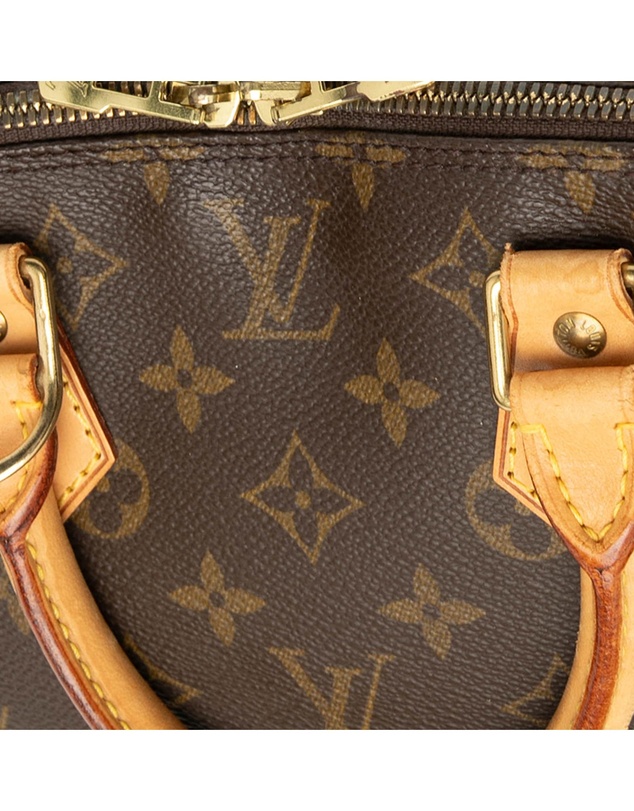 Pre-Loved by Azura Reborn - Pre-Loved Monogram Alma PM