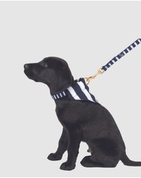 Mog & Bone - Neoprene Lead - Navy Hamptons Stripe Print