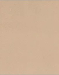 Naomi & Nicole - Light Shaping High Waist Everyday Shapewear Brief (Pack of 2)