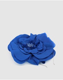 Morgan & Taylor - Cindy Fascinator