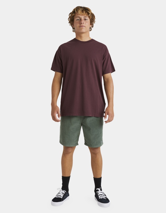 Billabong - Mens Premium Wave Wash T-Shirt
