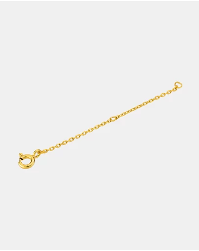 Zoe Olivia - 14K Gold Vermeil Extender Chain 5cm