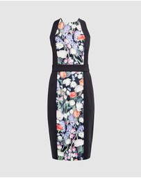 Ted Baker - Akva Dress