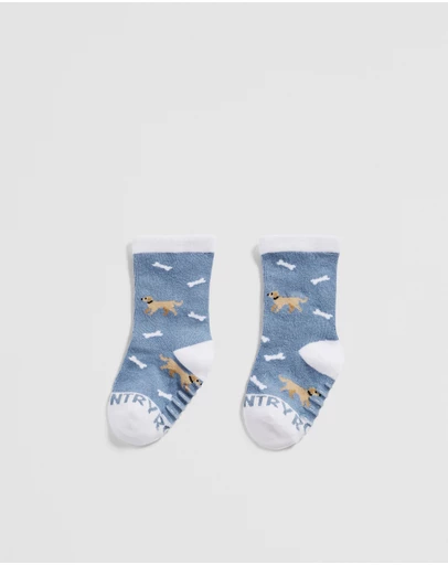 Country Road - Dog Sock
