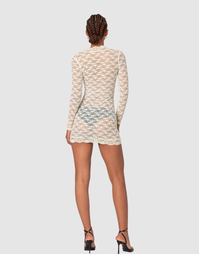 EDIKTED - Beck Plunge Neck Sheer Lace Mini Dress