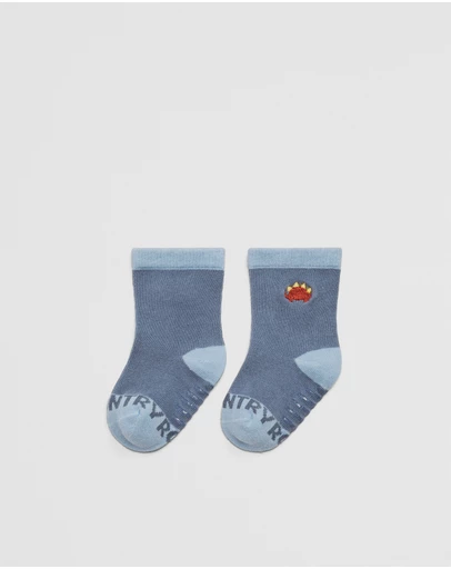 Country Road - Dino Sock