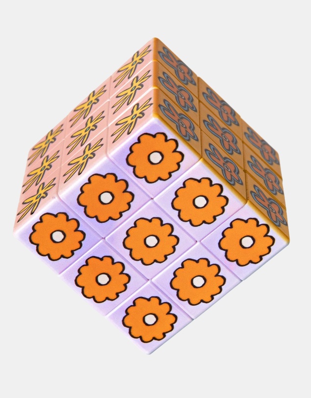 Journey Of Something - Art Cube - Flower Pop