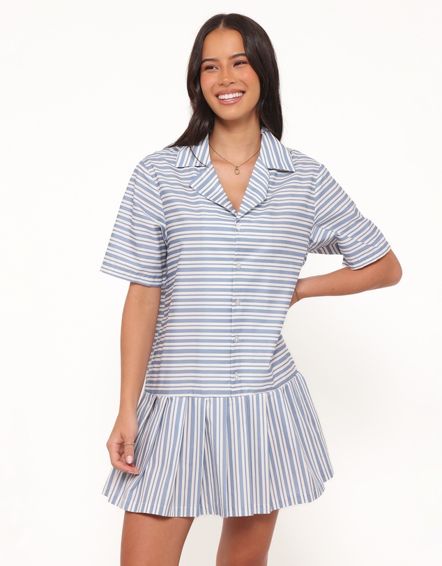Petal & Pup - Fraser Mini Dress - Blue Stripe
