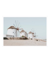 Amichi Co - Rustic Icons Fine Art Print