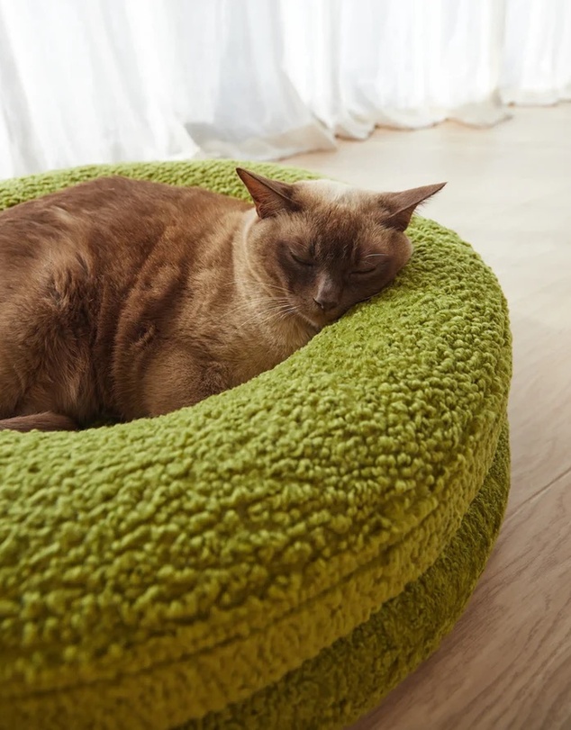 Cat St. - The Bungalow Bed