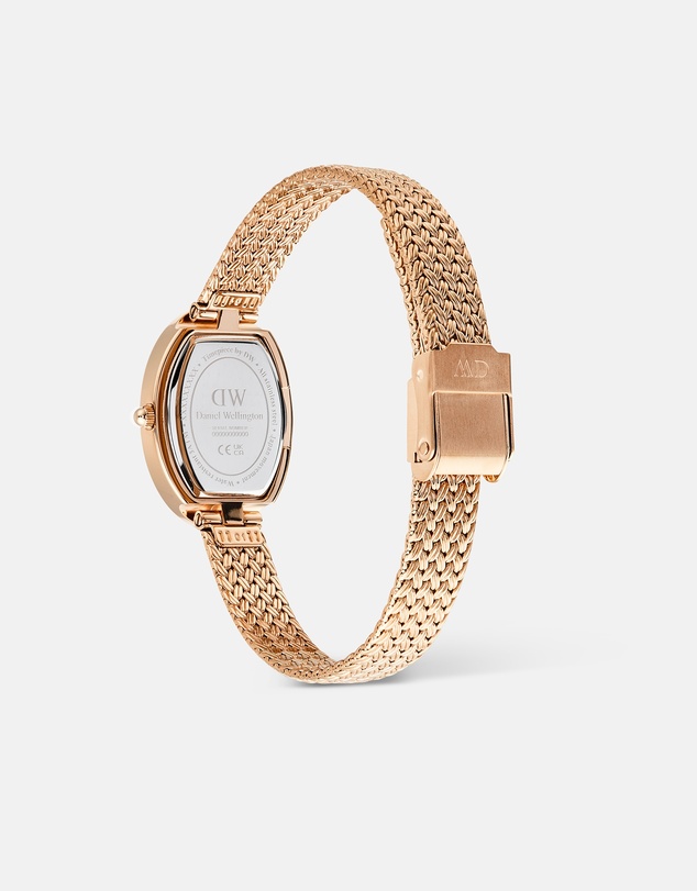 Daniel Wellington - Juliette Braided Mesh Sunray RG