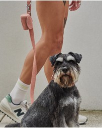 Lilly + Dash - Boucle Dog Poop Bag Holder