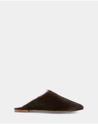 Senso - Caelan