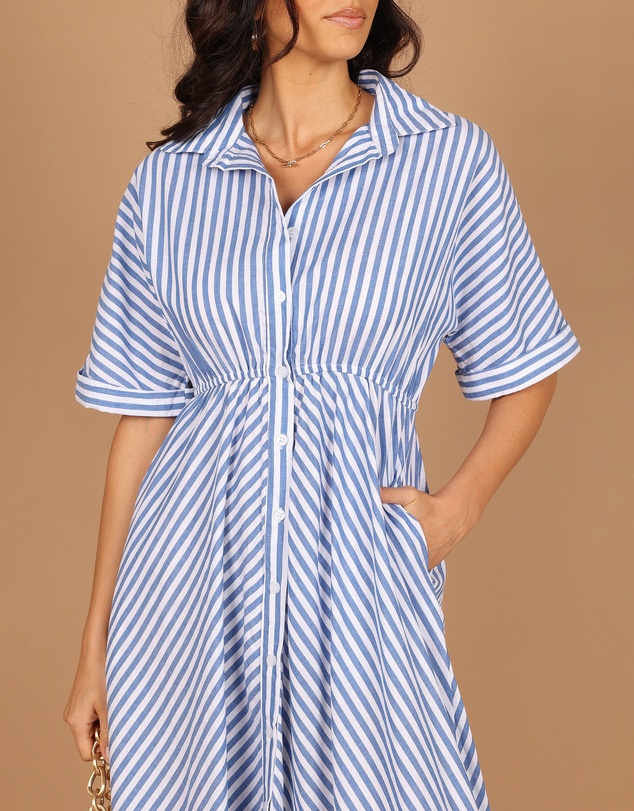 Petal & Pup - Finn Collared Midi Dress - Blue Stripe