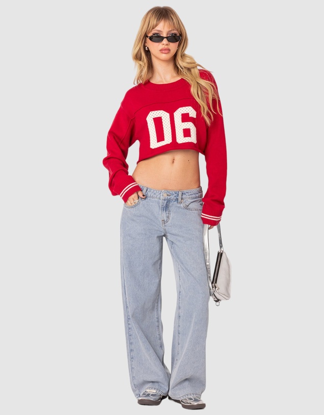 EDIKTED - Varsity Cropped Sweater