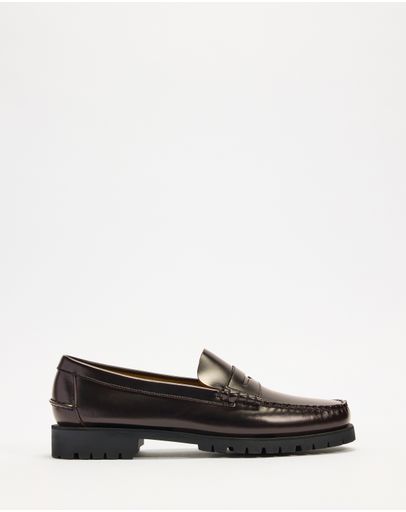 Brown Burgundy