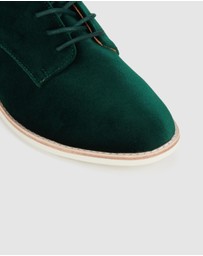 Rollie - Derby Velvet Shoe