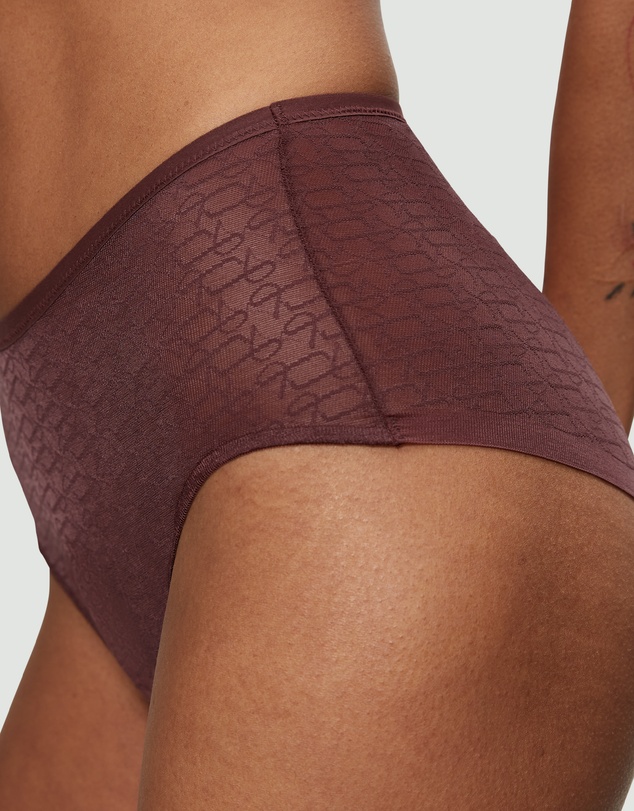 Triumph - Signature Sheer Maxi Brief