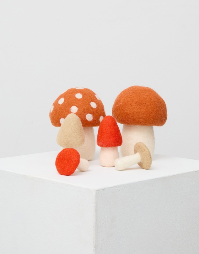 Phile - Crate of Mushrooms - Red