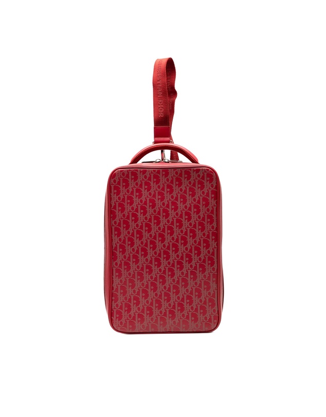 Pre-Loved by Azura Reborn - Pre-Loved Oblique Perforated Calfskin Galaxy World Tour Shoe Case