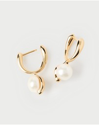 PDPAOLA - La Perla Hoops